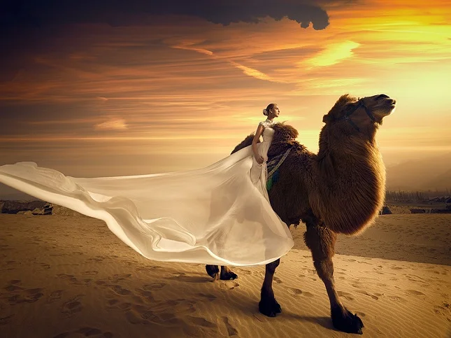 La oferta de la década by HASSELBLAD