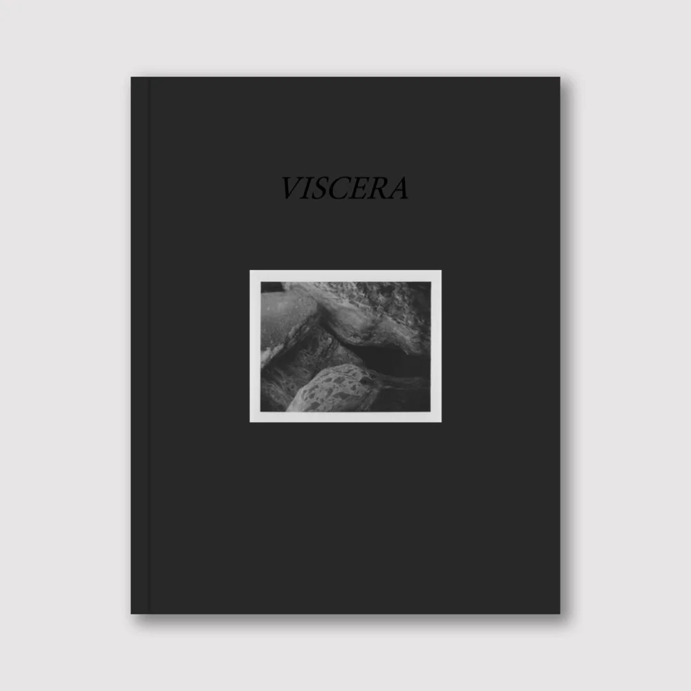 Viscera cover image.jpg