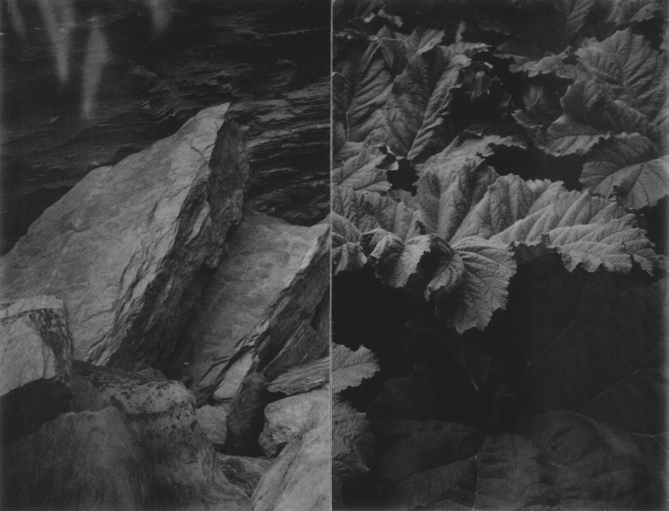 Cyrus Mahboubian - 1.jpeg