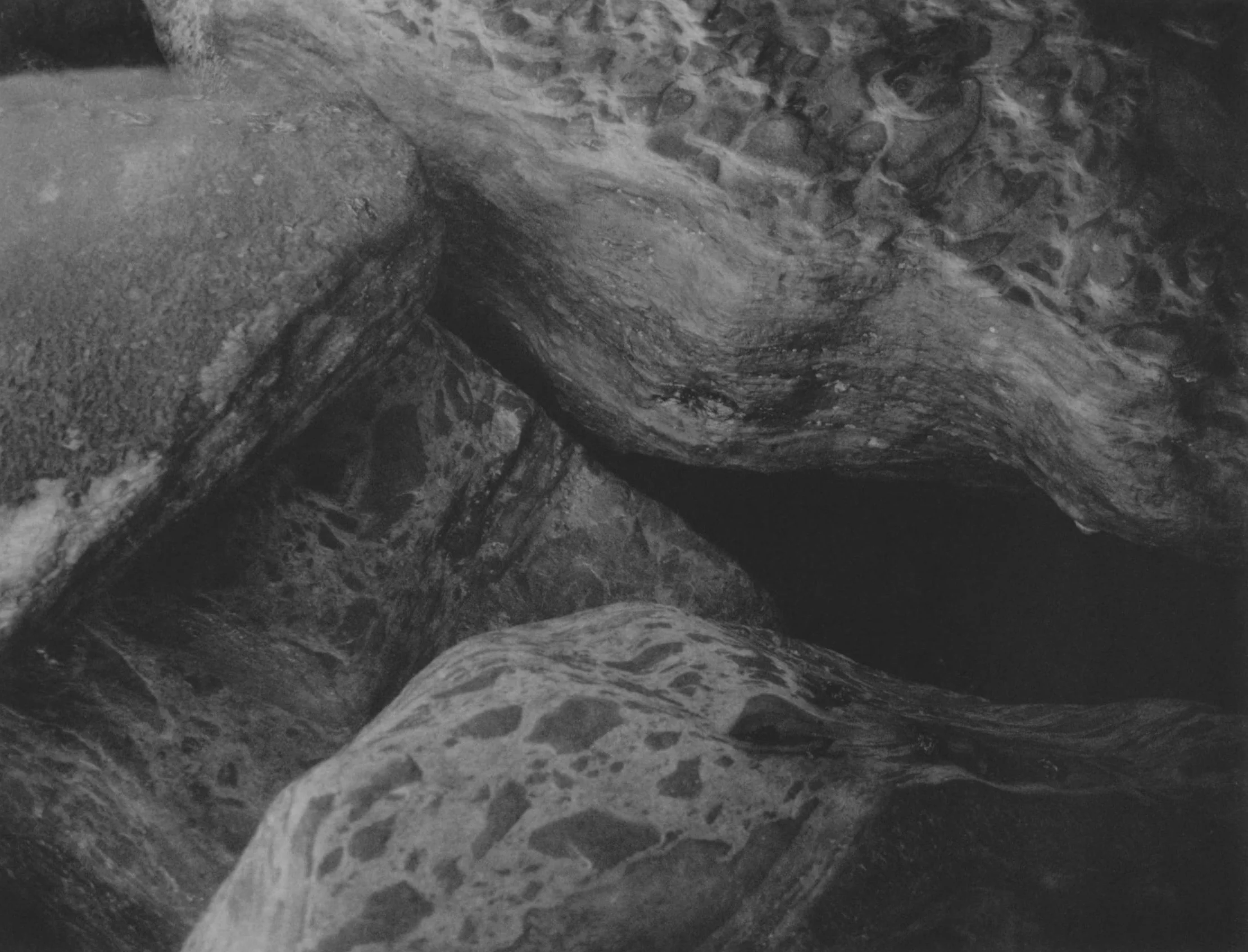 Cyrus M Viscera cover - 1.jpeg