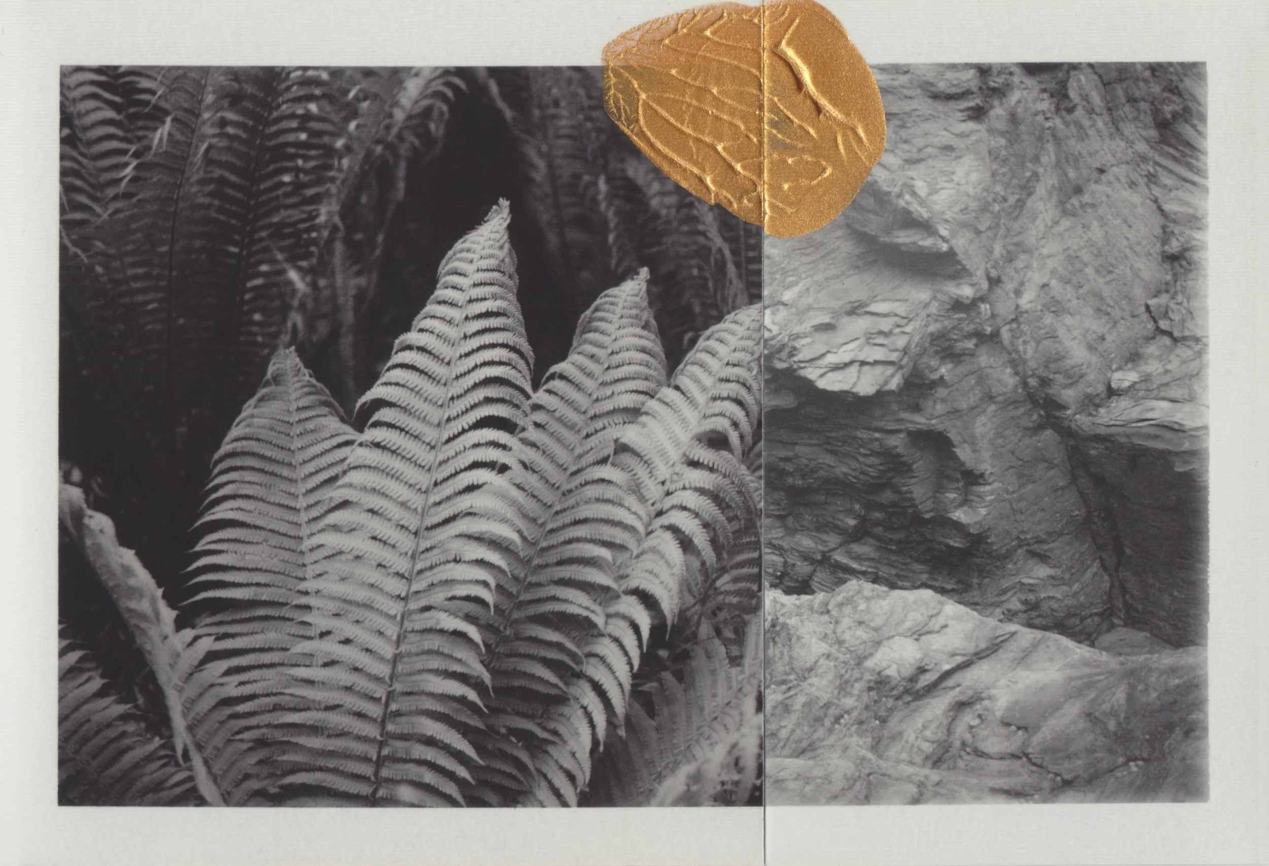 Golden Repair (2023–) — Cyrus Mahboubian