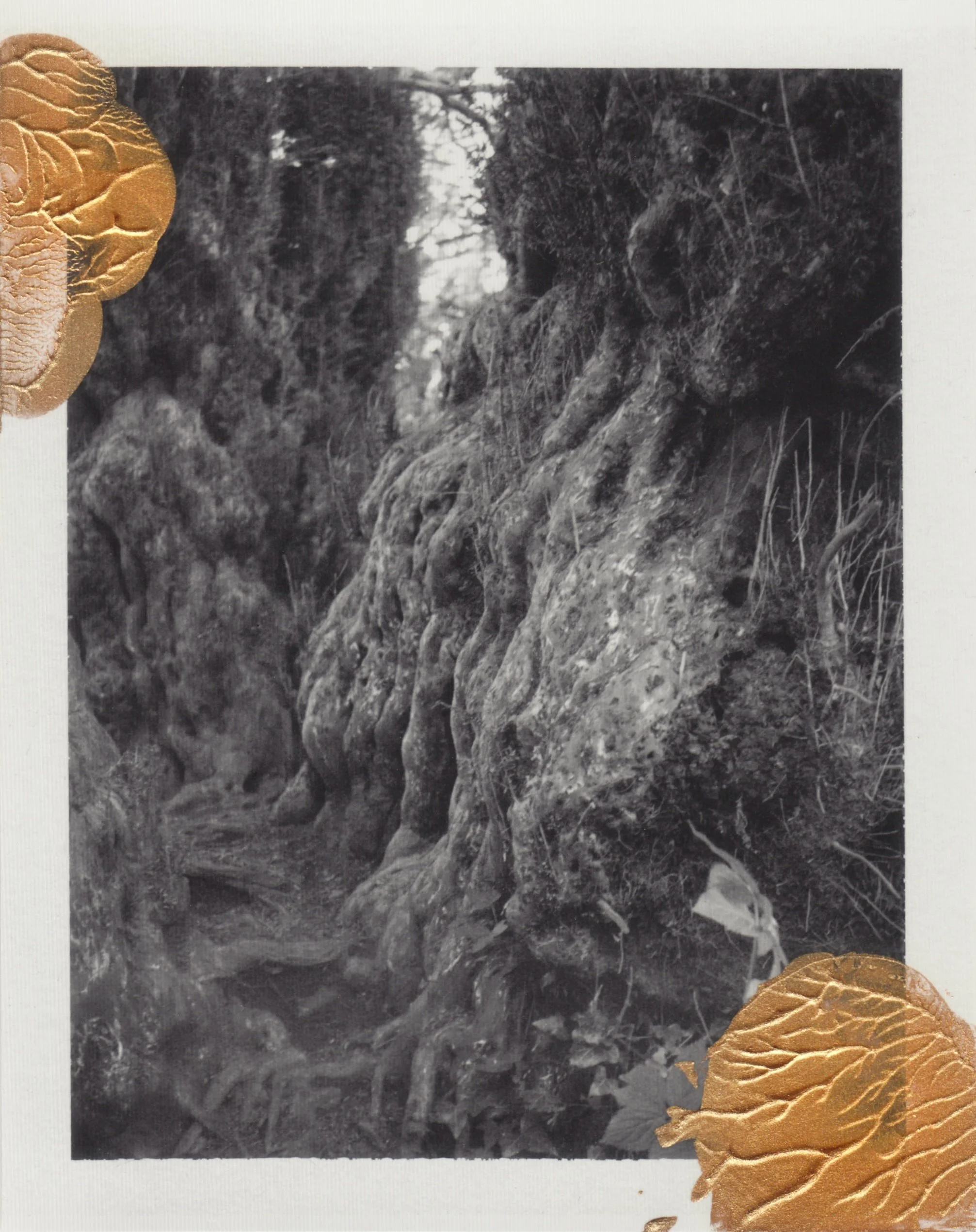 Golden Repair (2023–) — Cyrus Mahboubian