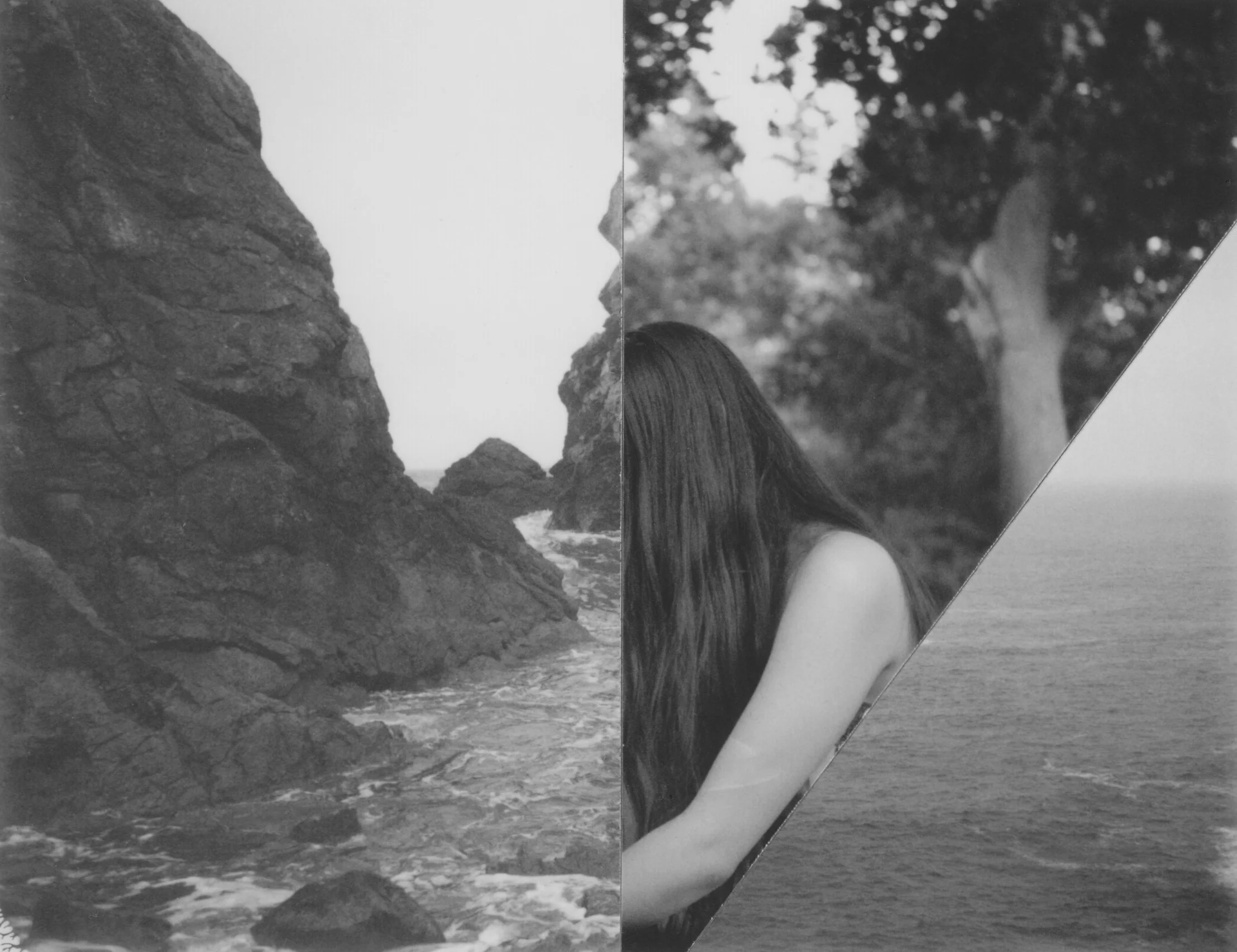 Cyrus Mahboubian polaroid composite 2 - 1.jpeg