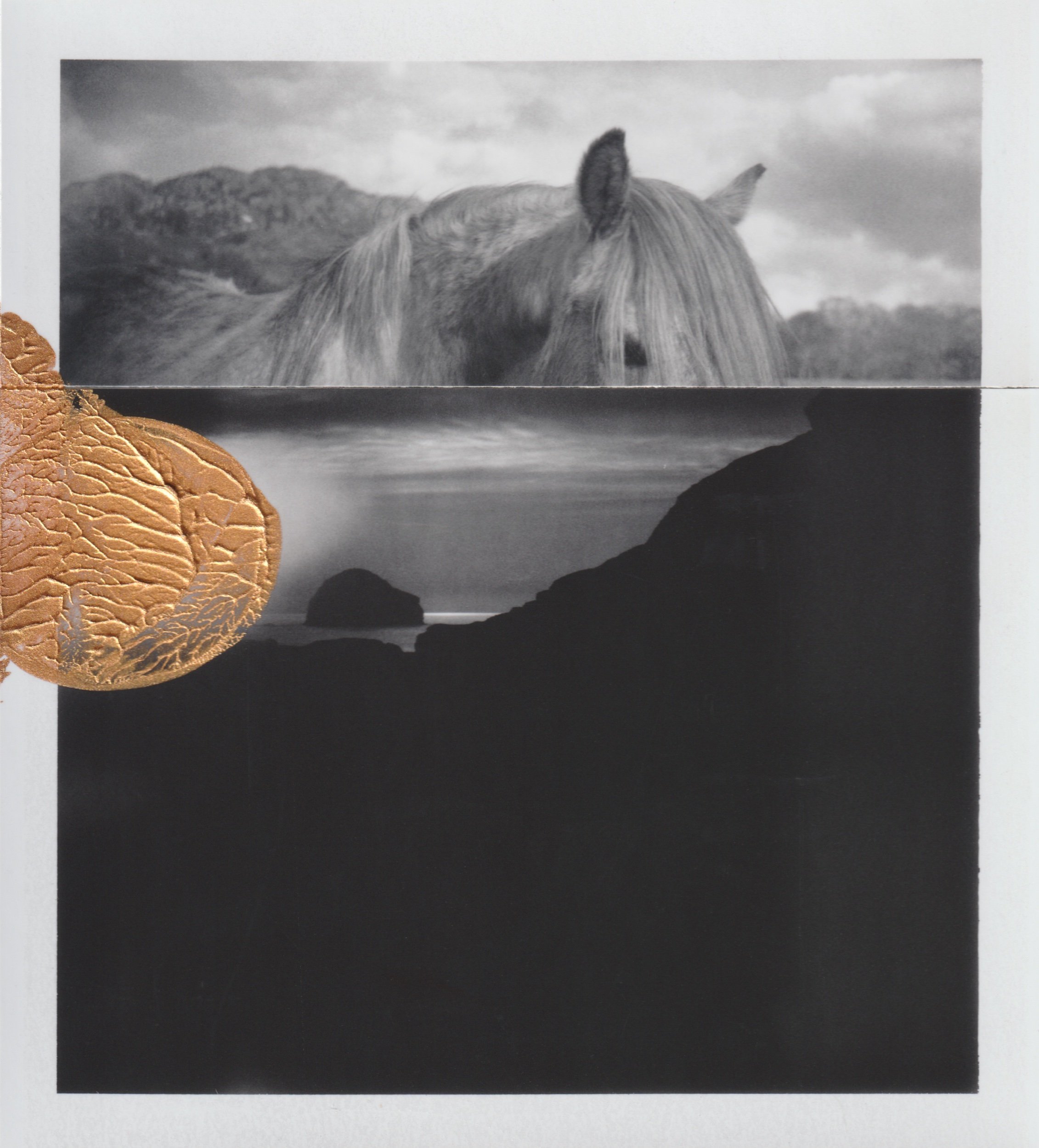 cyrus mahboubian polaroid - 2.jpeg