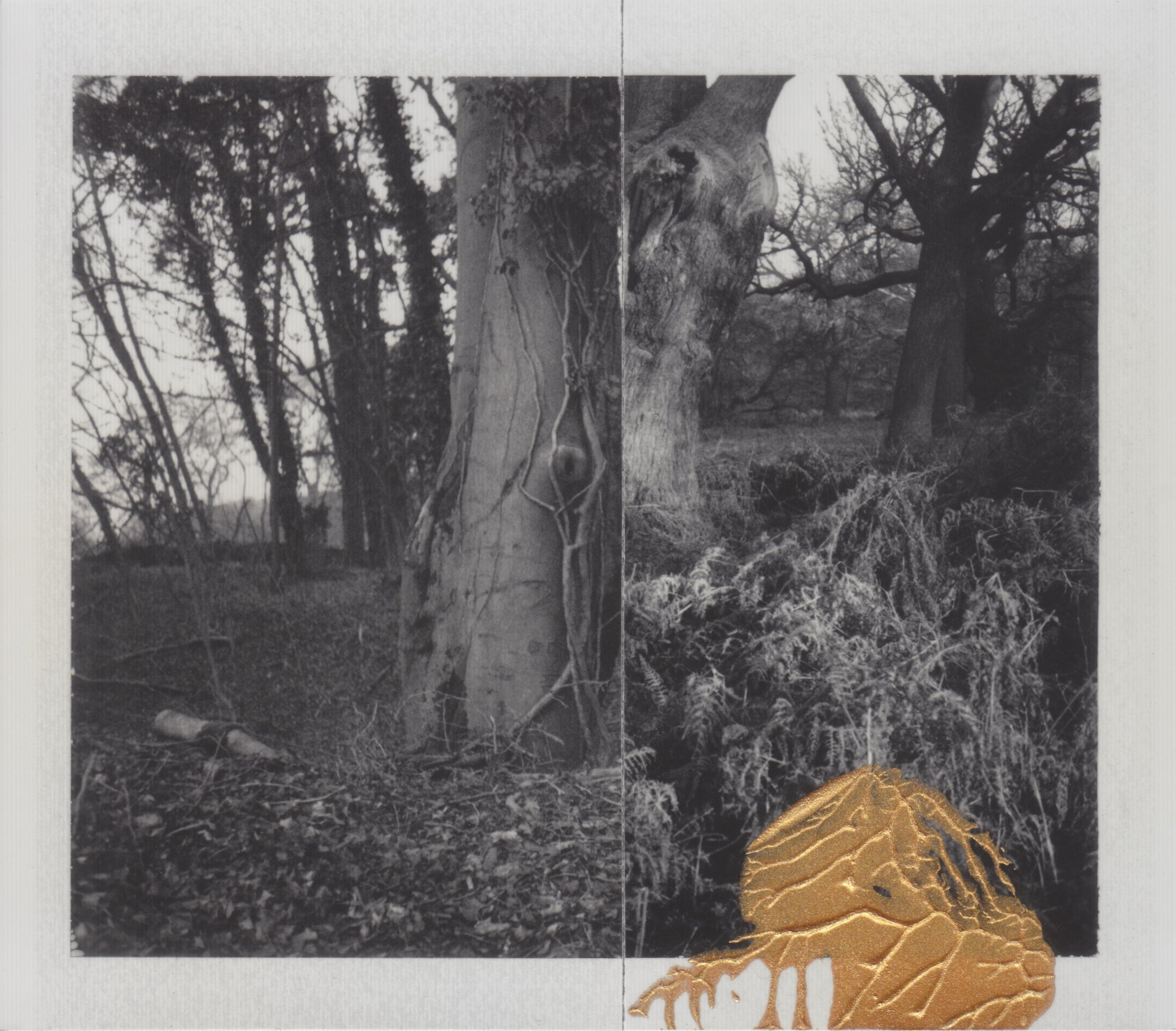 Surrey composite 2026 - 1.jpeg