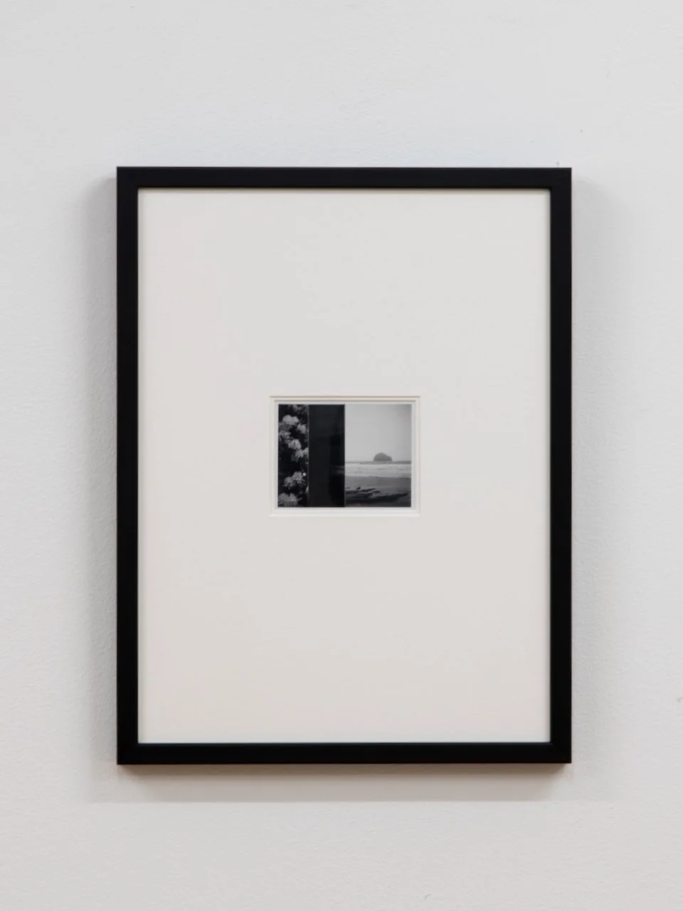 Framed composites Mahboubian - 2.jpeg