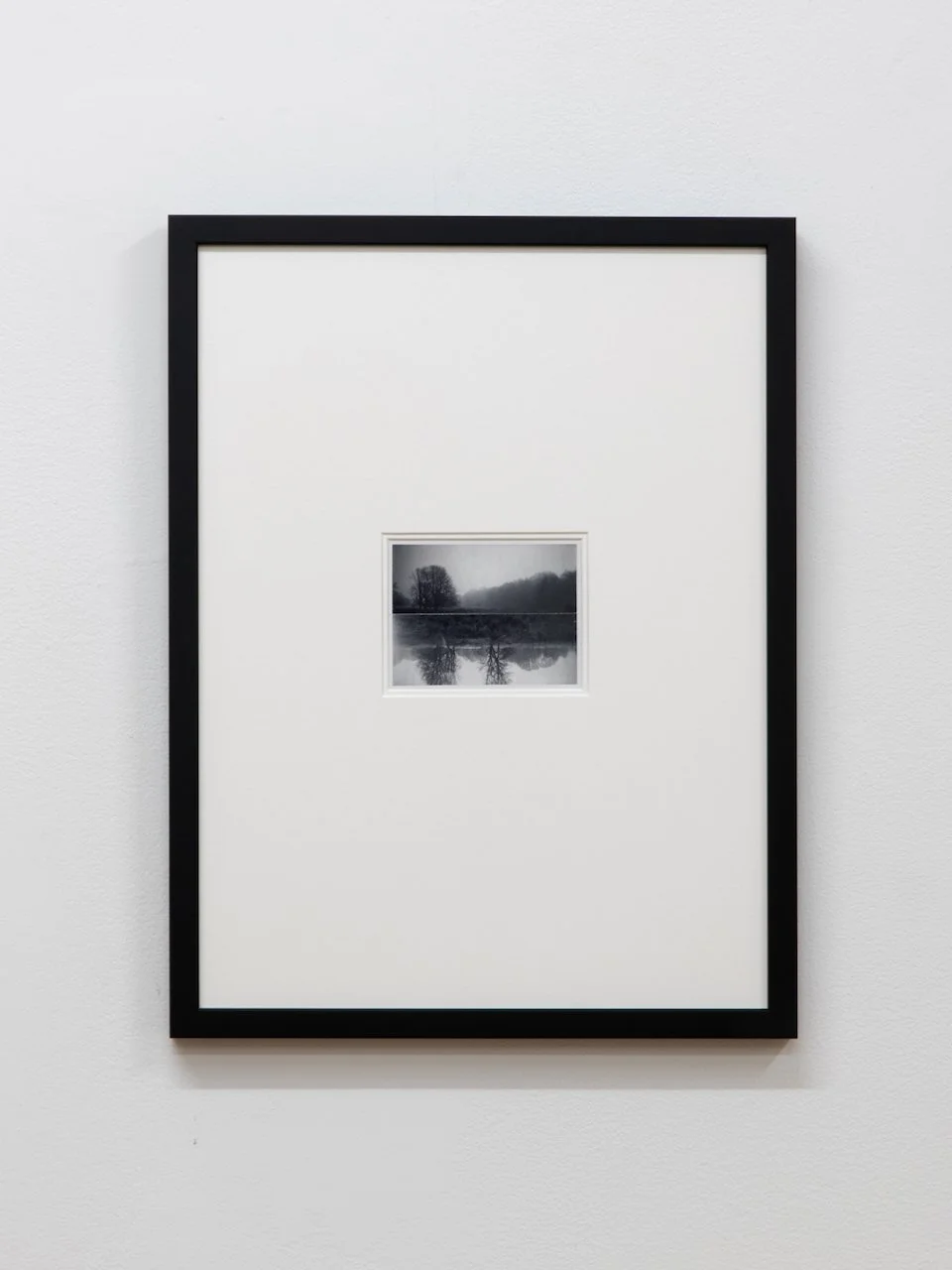 Framed composites Mahboubian - 1.jpeg