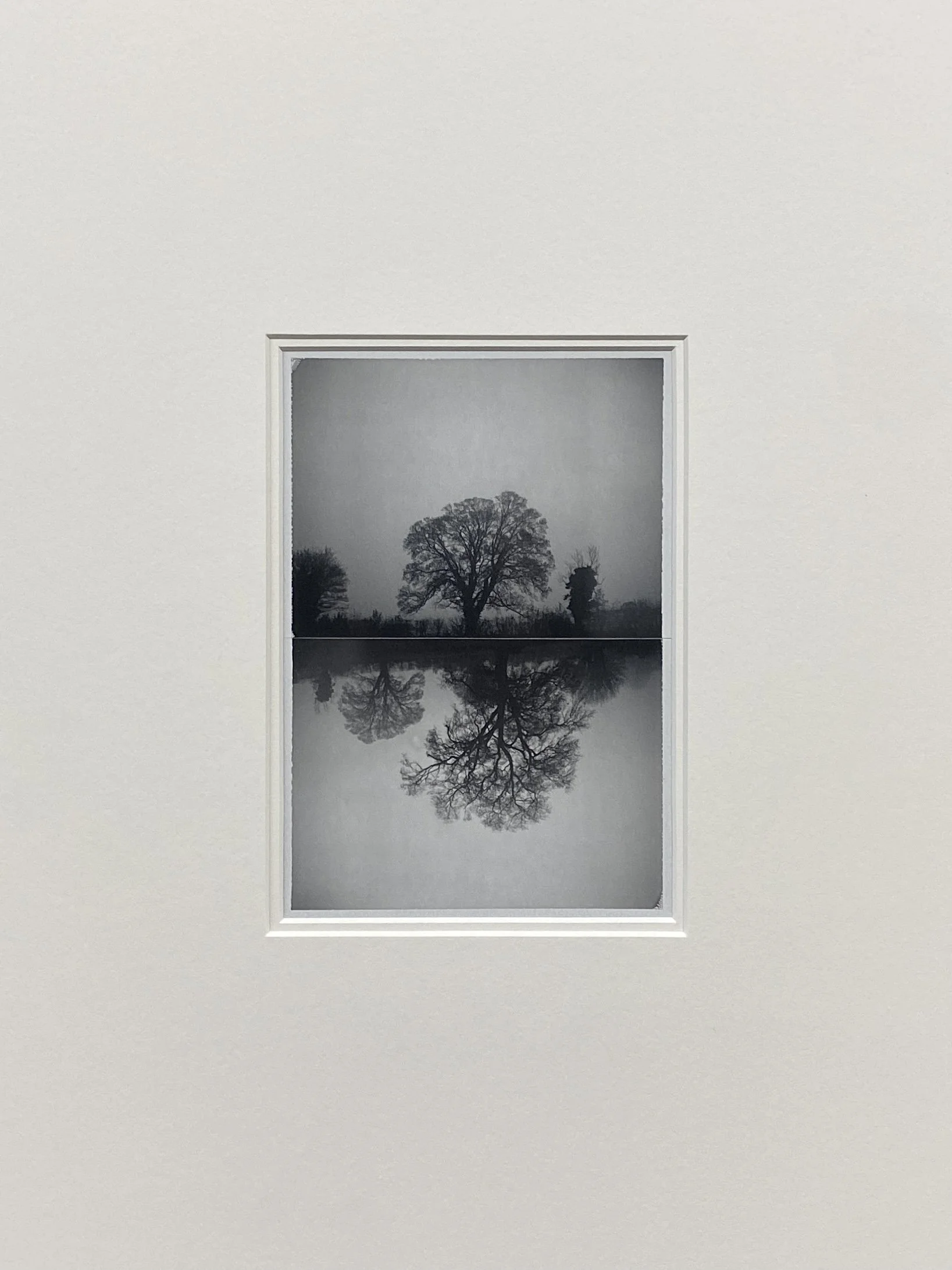 trees, oxfordshire (composite) framed detail.jpeg