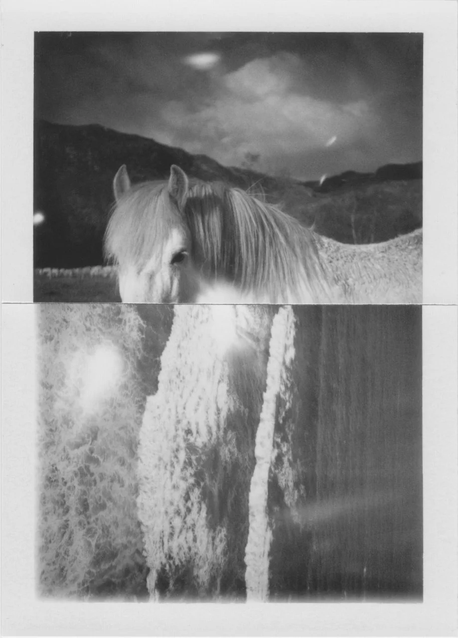 loch marie, scotland (composite) by cyrus mahboubian 2024 - 1.jpeg