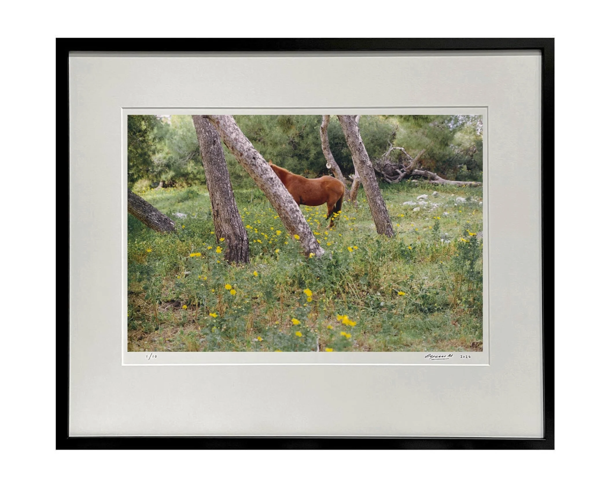 Cyrus Mahboubian Horse, Hydra framed example - 1.jpeg