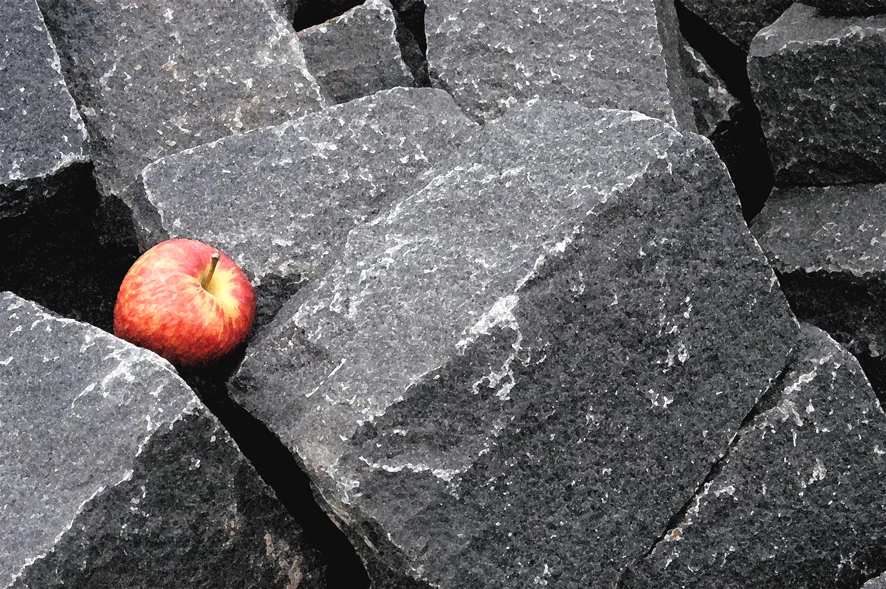 hiddenapple.jpg