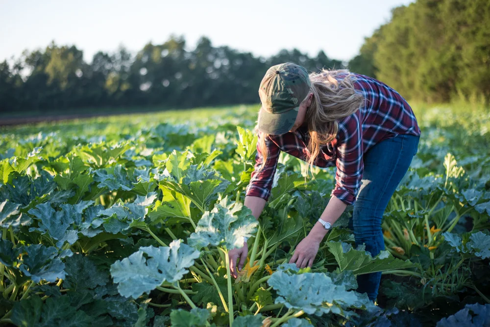 Photo courtesy of Edible Northeast Florida