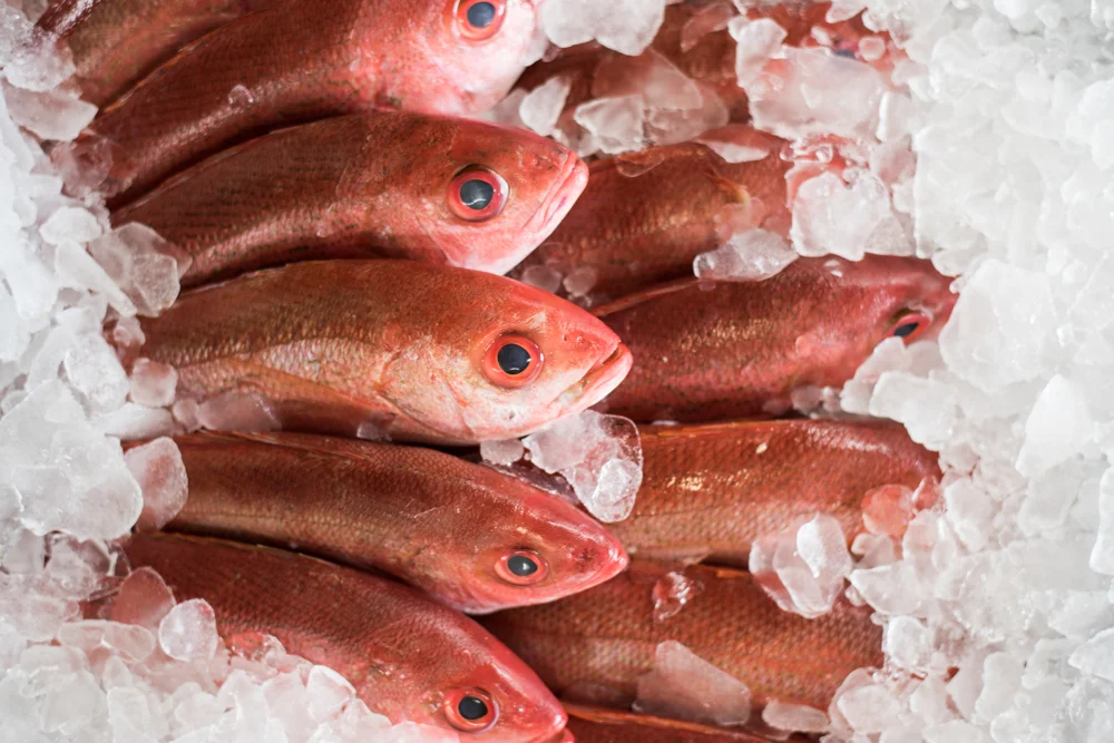 KYLE'S SEAFOOD MARKET — Slow Food First Coast