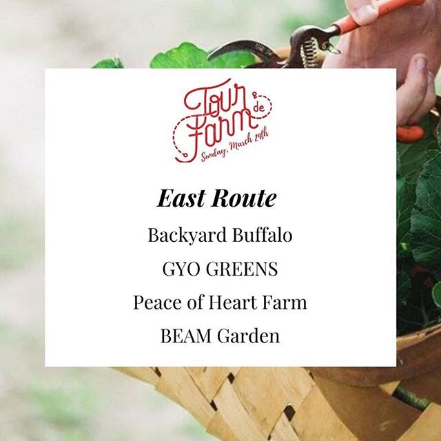 On Sunday, March 29th you'll be able to explore 9 local farms! Visit them all by planning your routes on these convenient maps: 
North Route: https://goo.gl/maps/JHMR3Ze6qShCyXoh8
East Route: https://goo.gl/maps/pJm5JMDjDsWnfFCR6