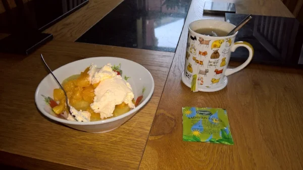 Mandarin and pineapple slices with cream on a cheery, rainy day.
