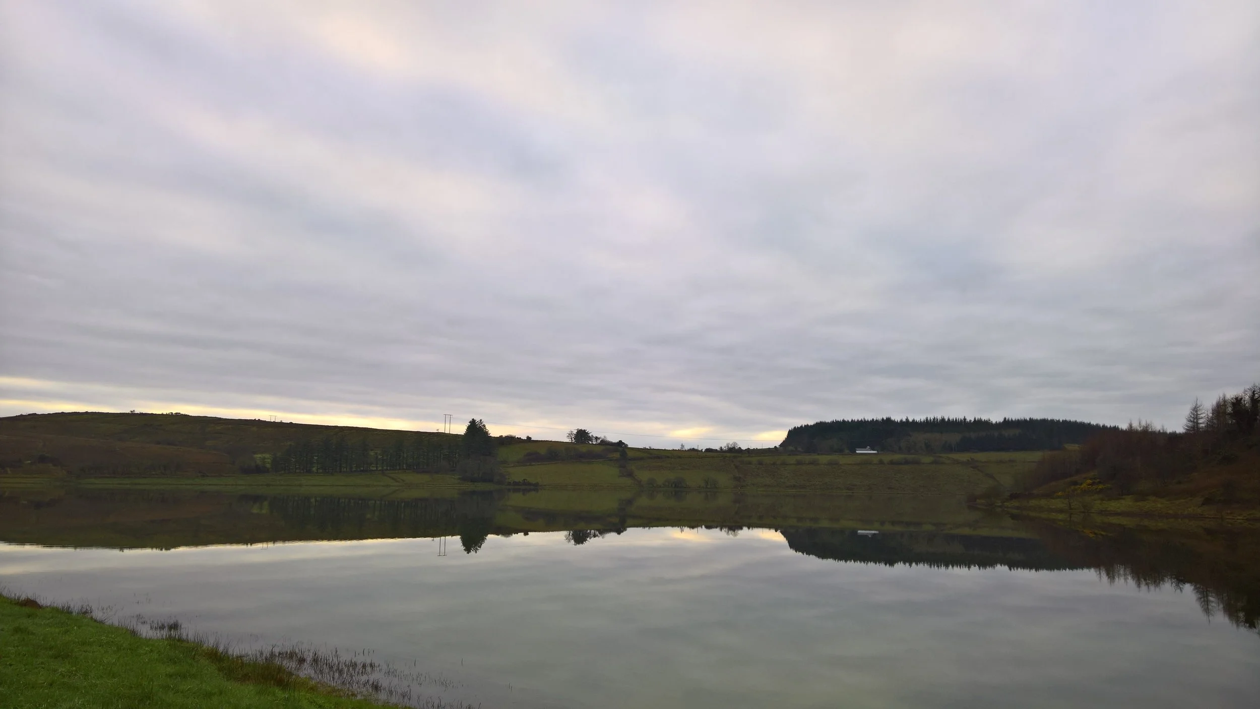 WP_20190110_10_11_36_Rich.jpg