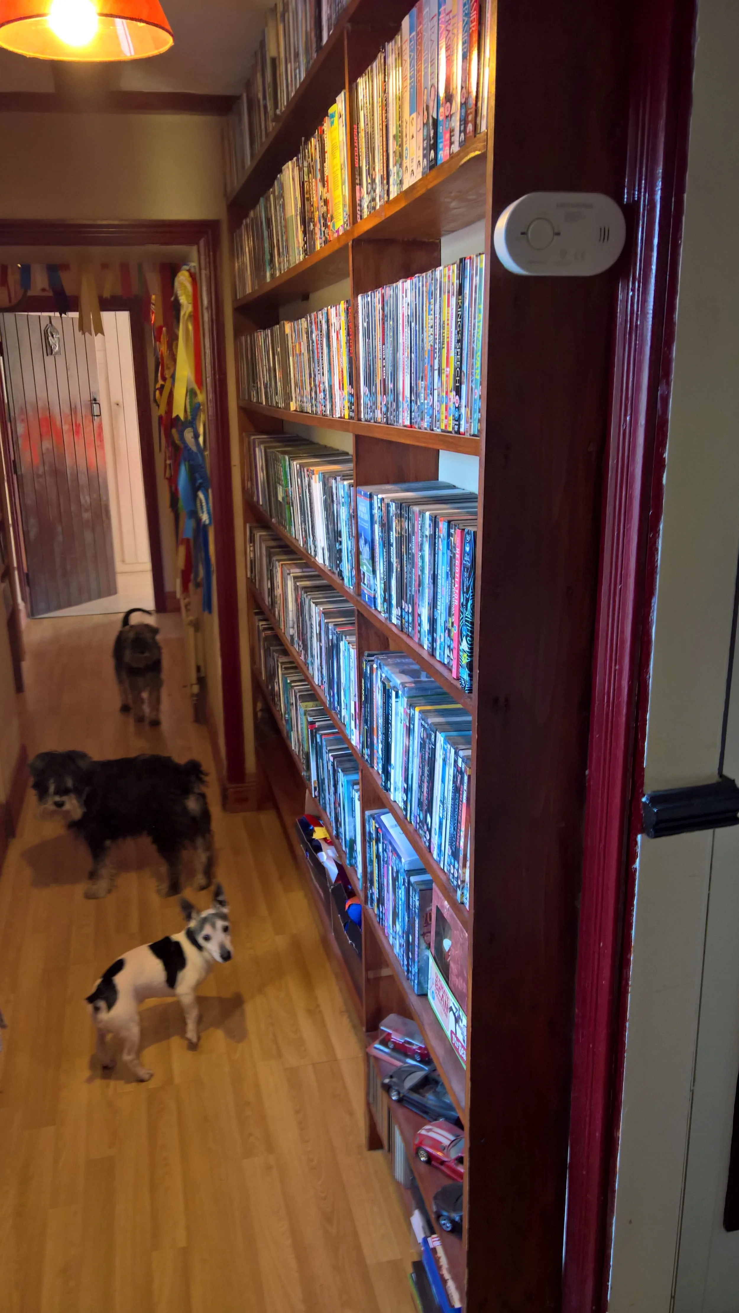 DVD and dog collection.