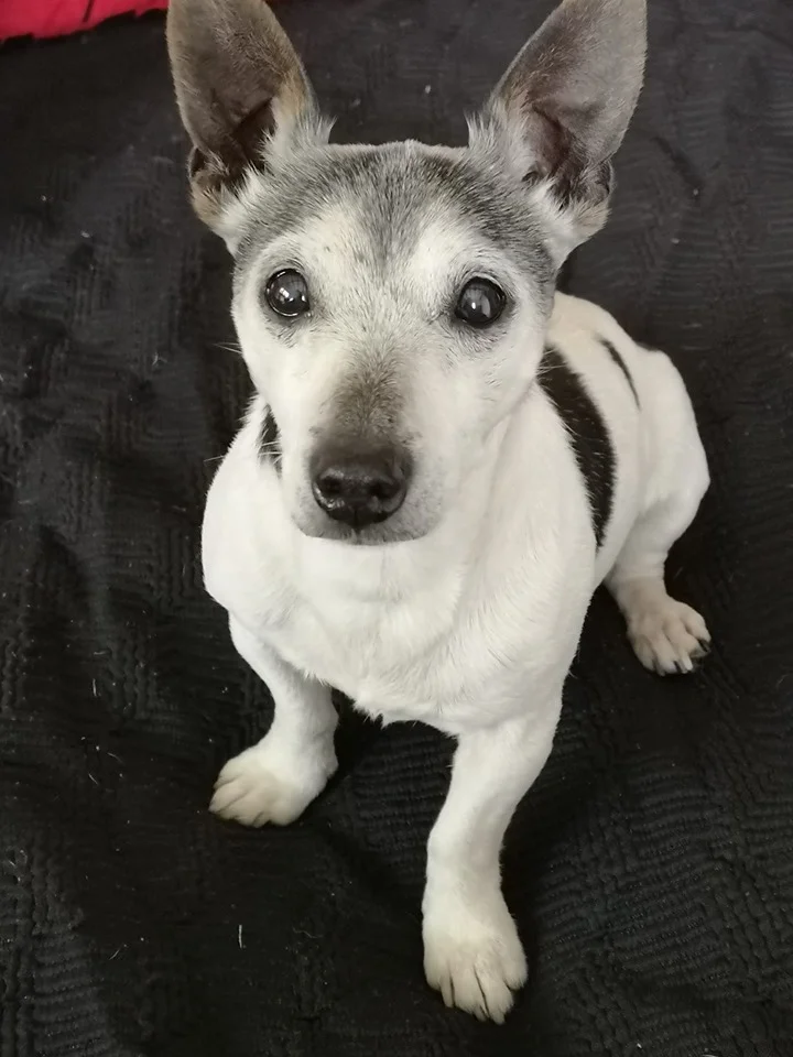 Benny on his 14th birthday.