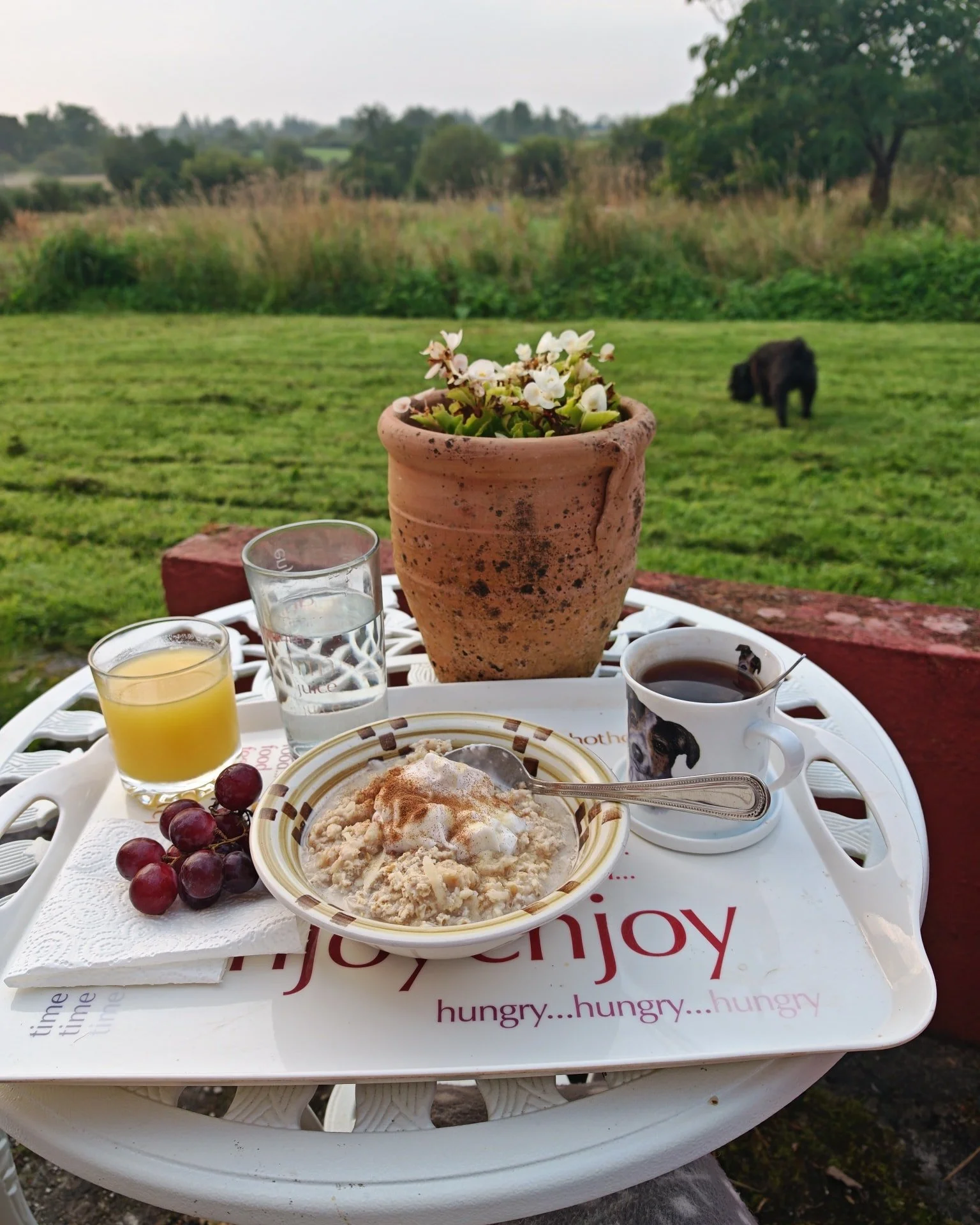 I always dream about having breakfast outside in the sunshine, but it never happens because the weather doesn't comply. Today I decided to go for it. It was a little cold, but I did it.😁

#breakfast #breakfastalfresco #irishsummer