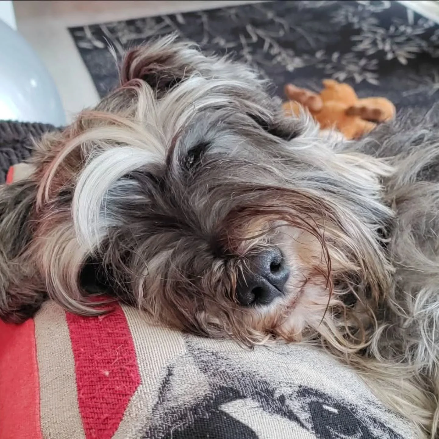 Goodbye Dexter. - https://mailchi.mp/53e062b66a3f/goodbye-dexter

(This should have shared days ago, and I'm not sure why it didn't.)