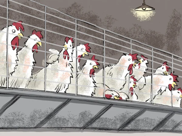 Factory farming