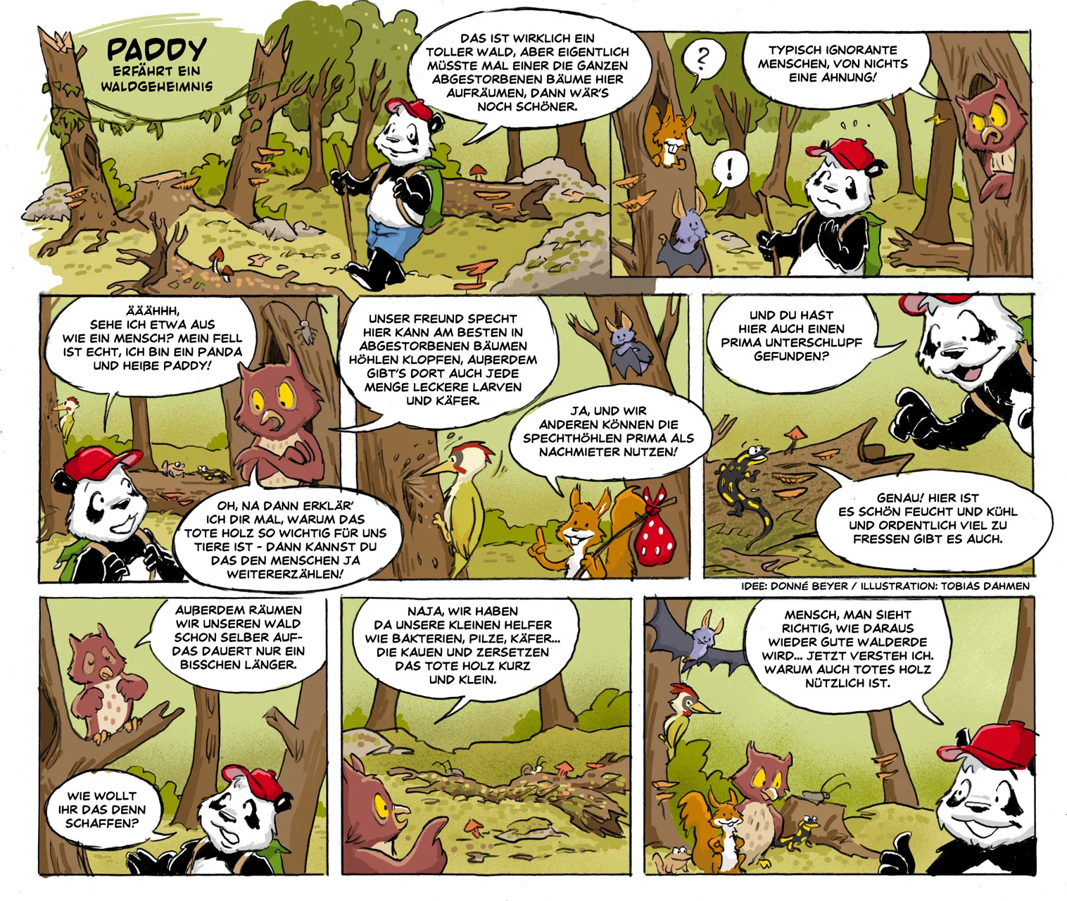 Paddy_Waldgeheimnis.jpg