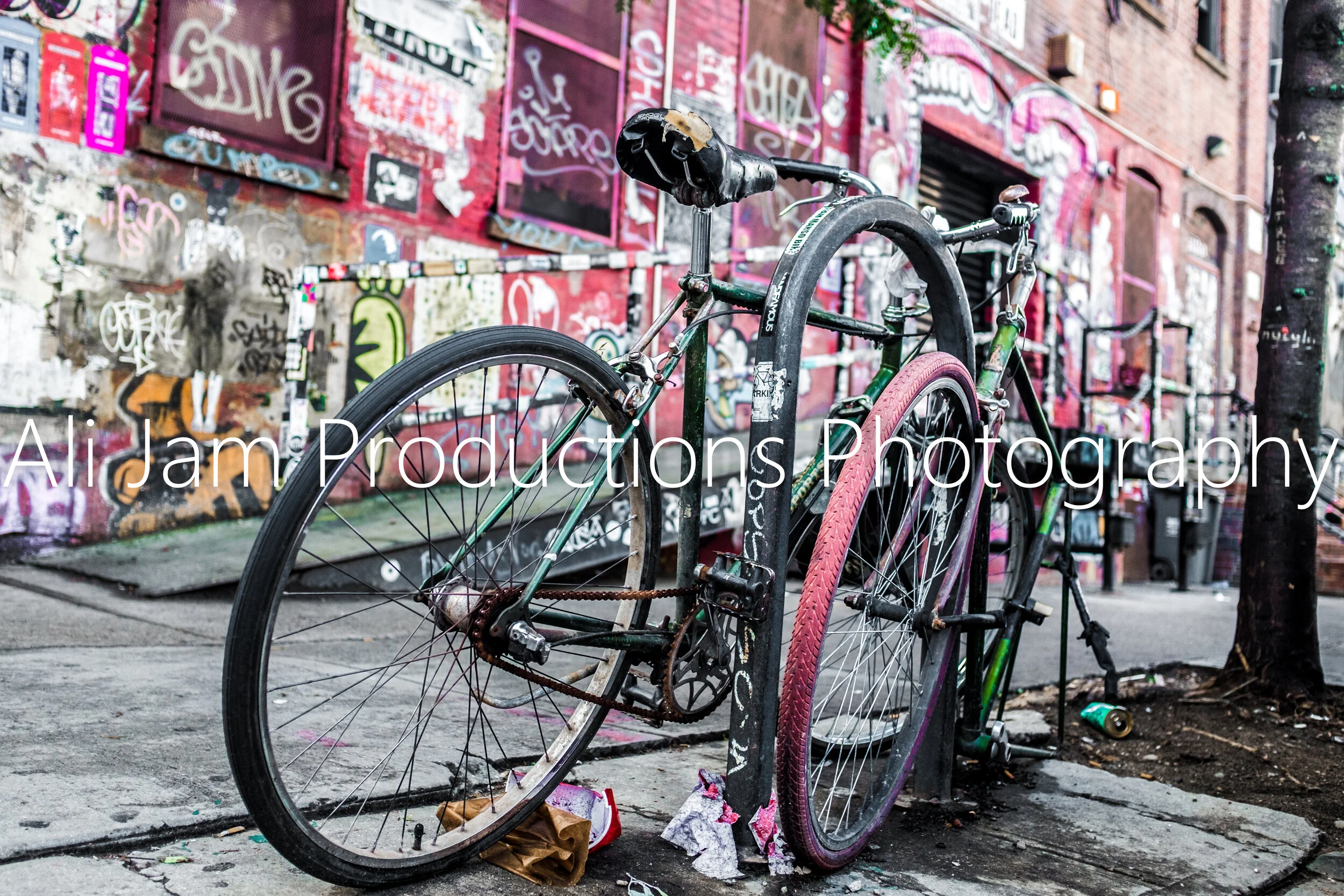 DSCF6830.JPG