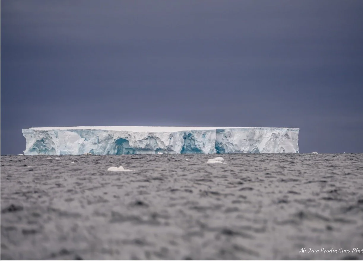Iceberg.jpg