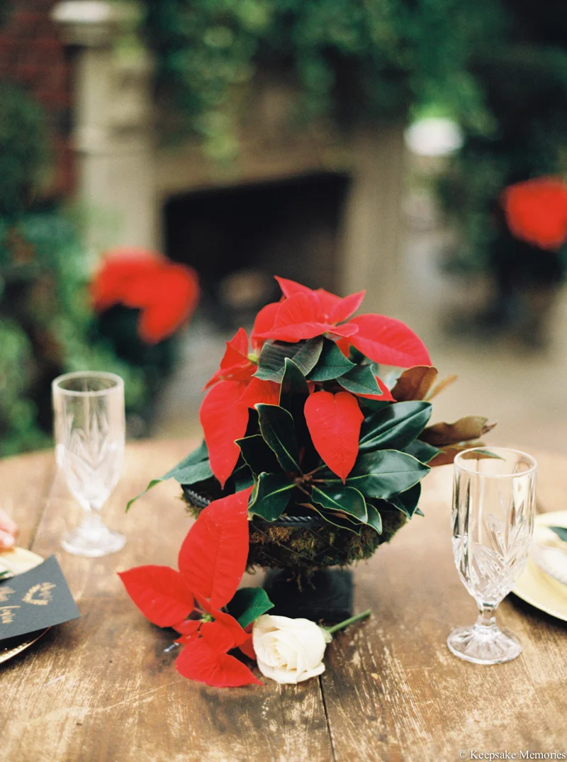 emerald-isle-north-carolina-christmas-wedding-7.jpg