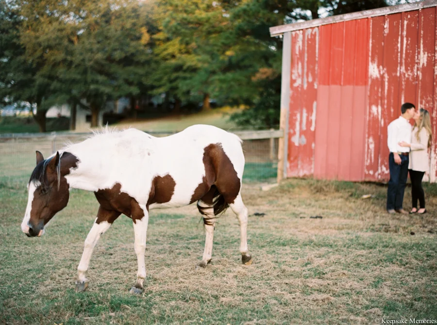 goldsboro-north-carolina-farm-engagement-photos-22.jpg