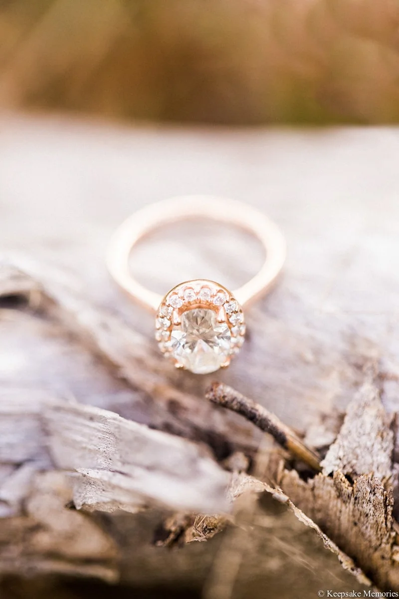 sneads-ferry-nc-engagement-photographers-min.jpg