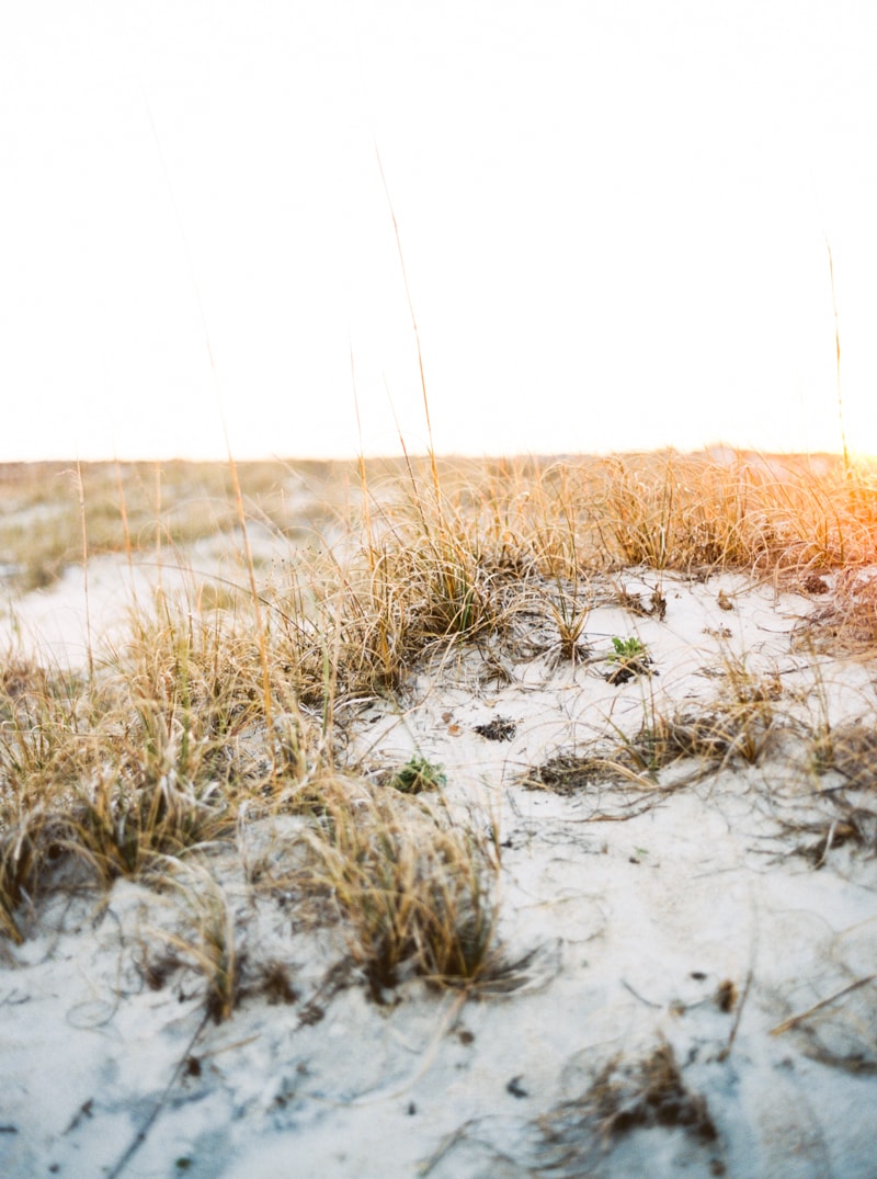 wrightsville-beach-nc-engagement-photographers-23-min.jpg