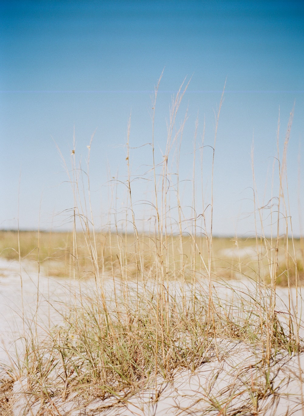 north-carolina-engagement-photography-19-min.jpg