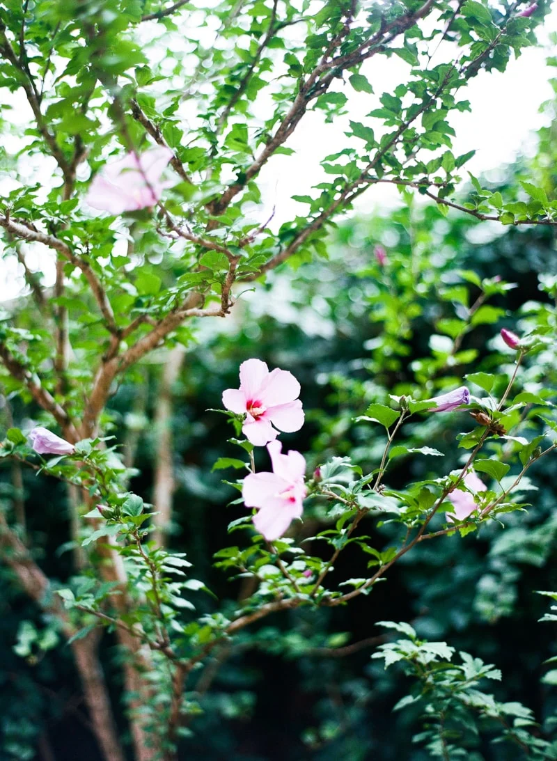 new-bern-nc-bridal-fine-art-film-photographers-min.jpg