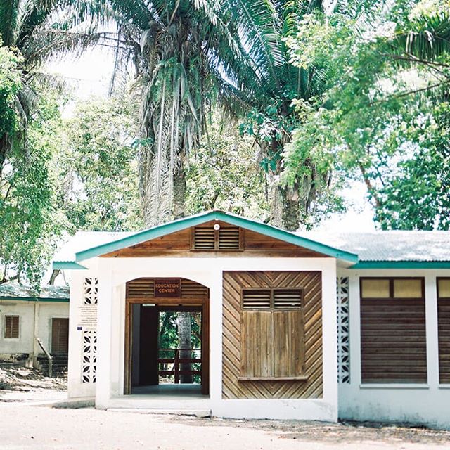 Belize!! Take us back. 💕 #belize #belizetravel #travelphotography