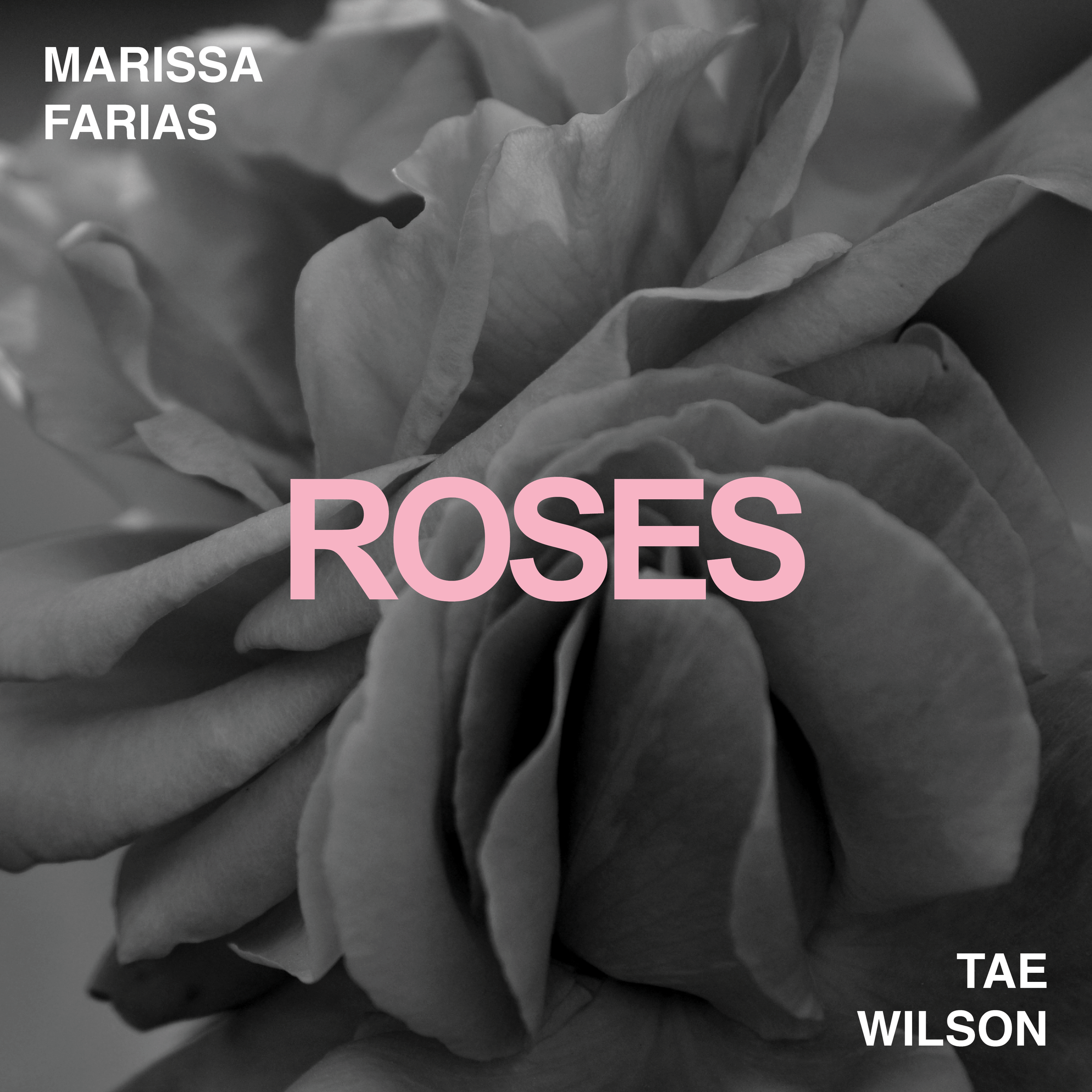 'Roses'
