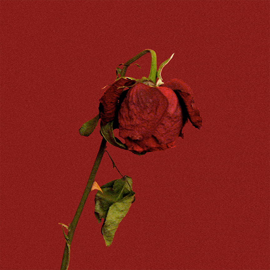 'Roses'
