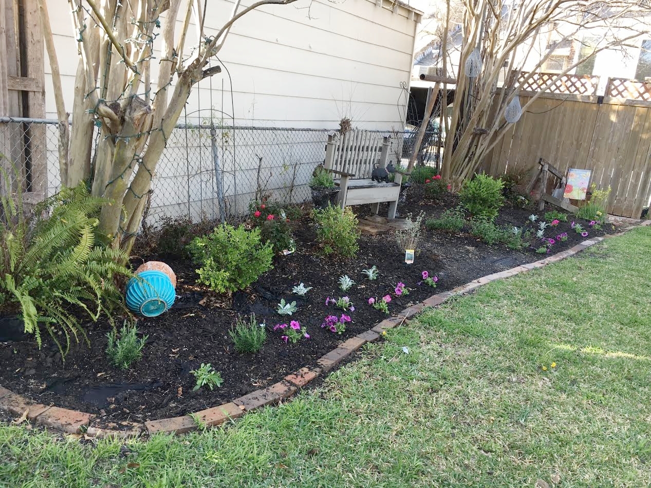 This is an old photo before we redid our back fence and removed the old chain link! 