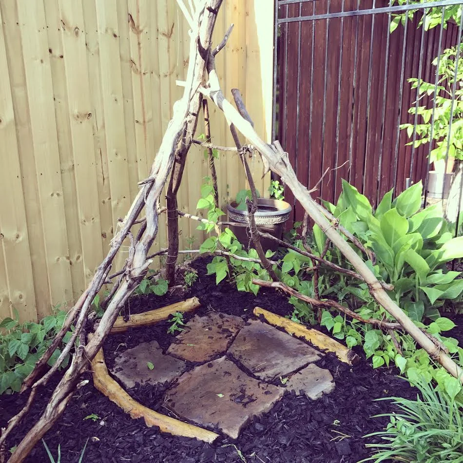Beginning to grow up the teepee!! 