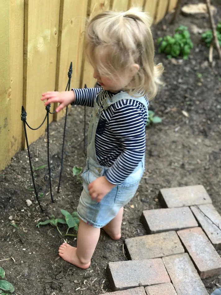 Stella checking (or stepping) on the cucumbers 