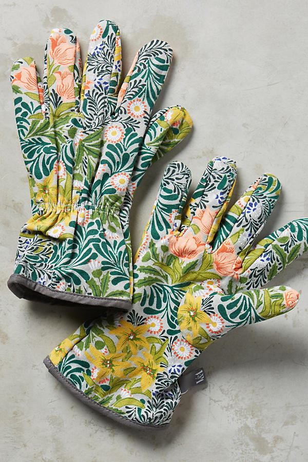 Photo. Anthropologie.com