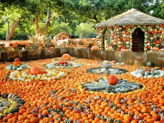 Photo: Dallas Arboretum 