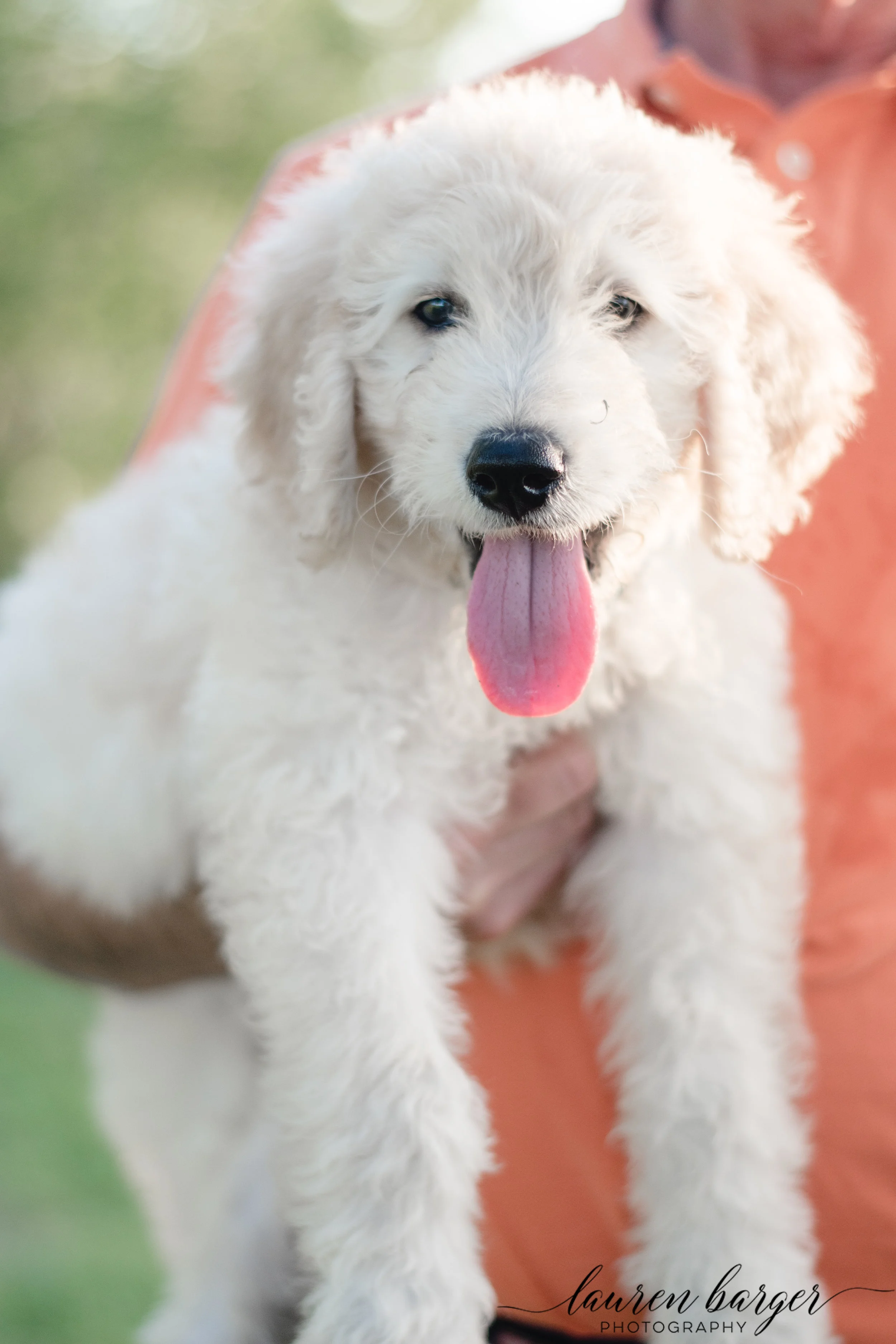 dogdaydoug-0594.jpg