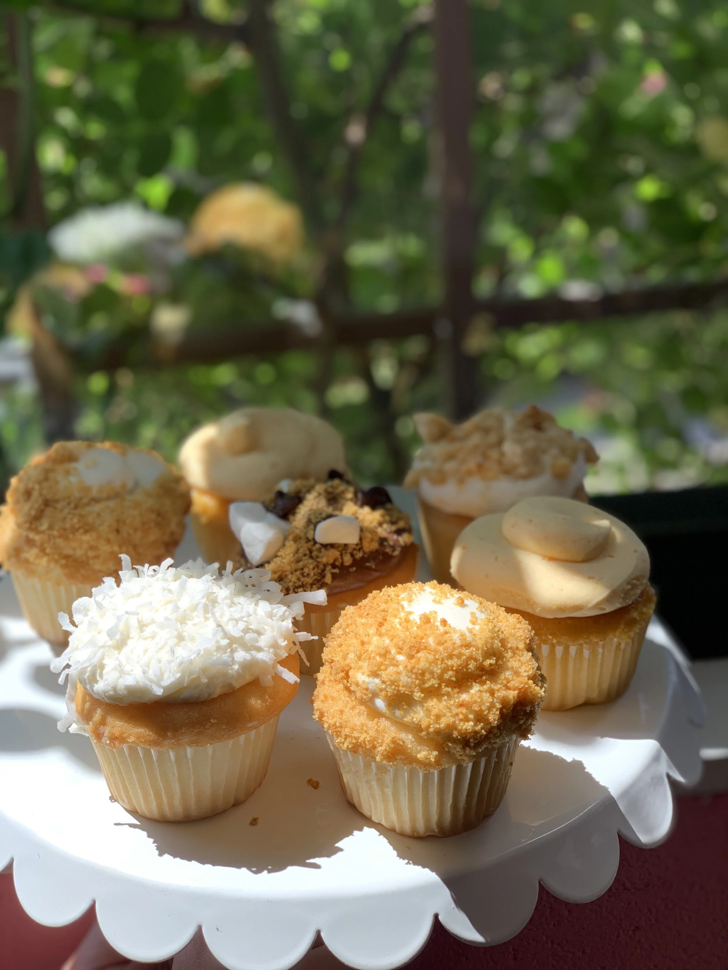 Summer Cupcakes!
