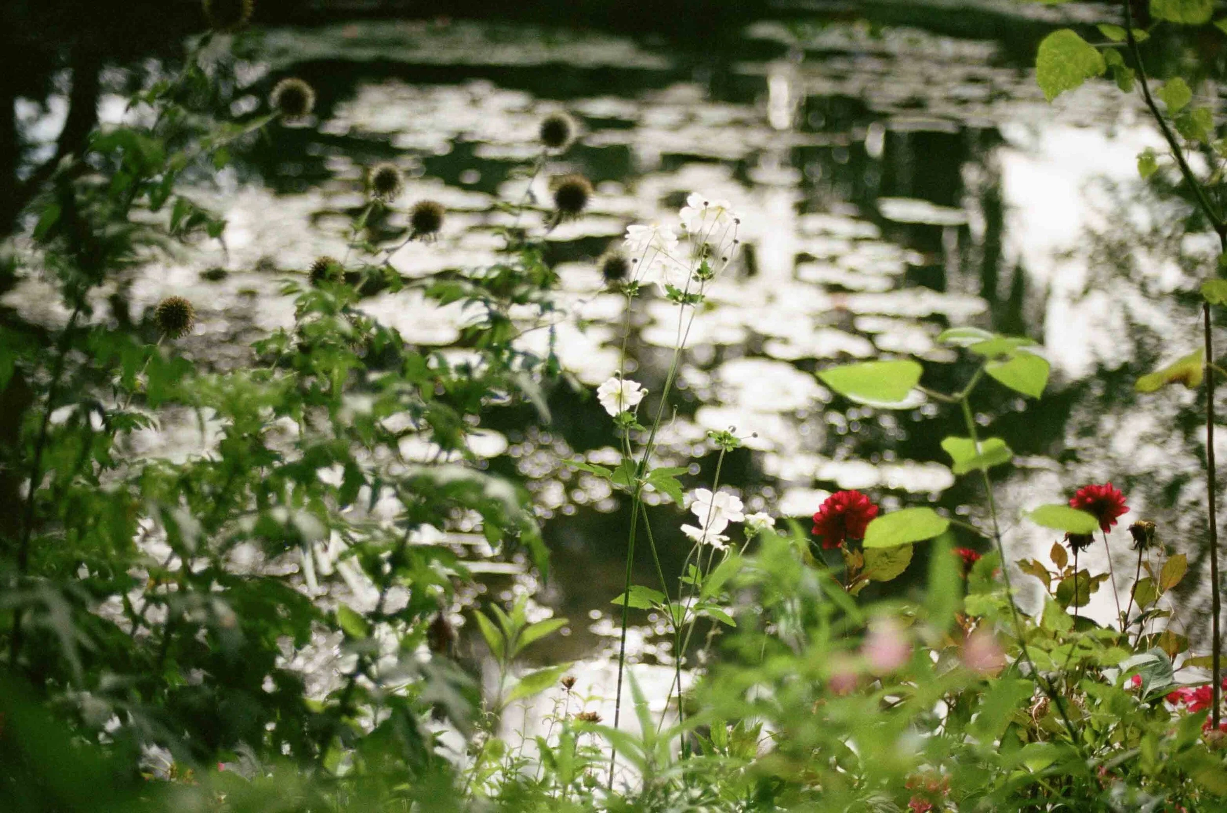 2013 PARISfilm-000048160004.jpg