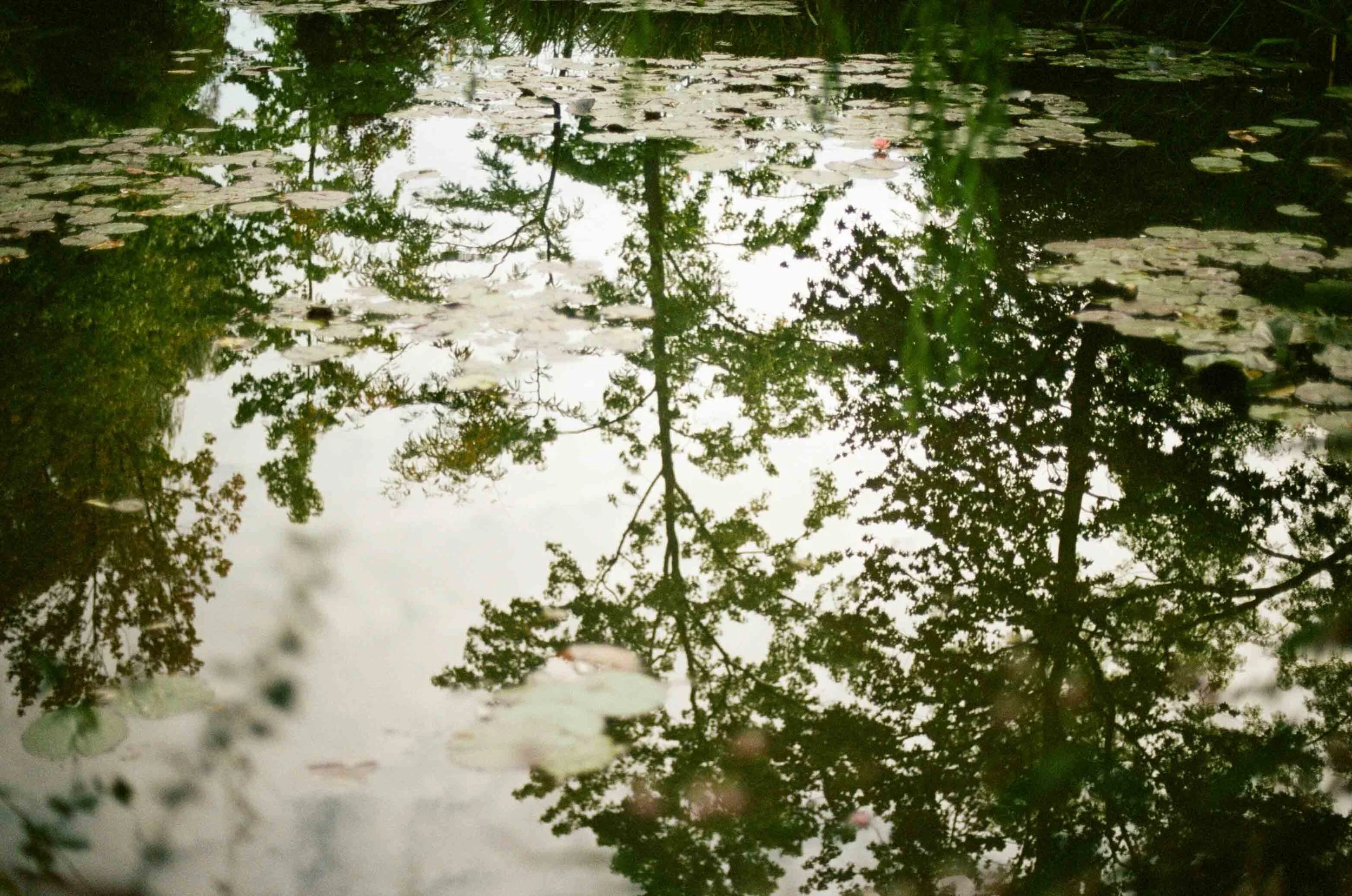 2013 PARISfilm-000048160007.jpg