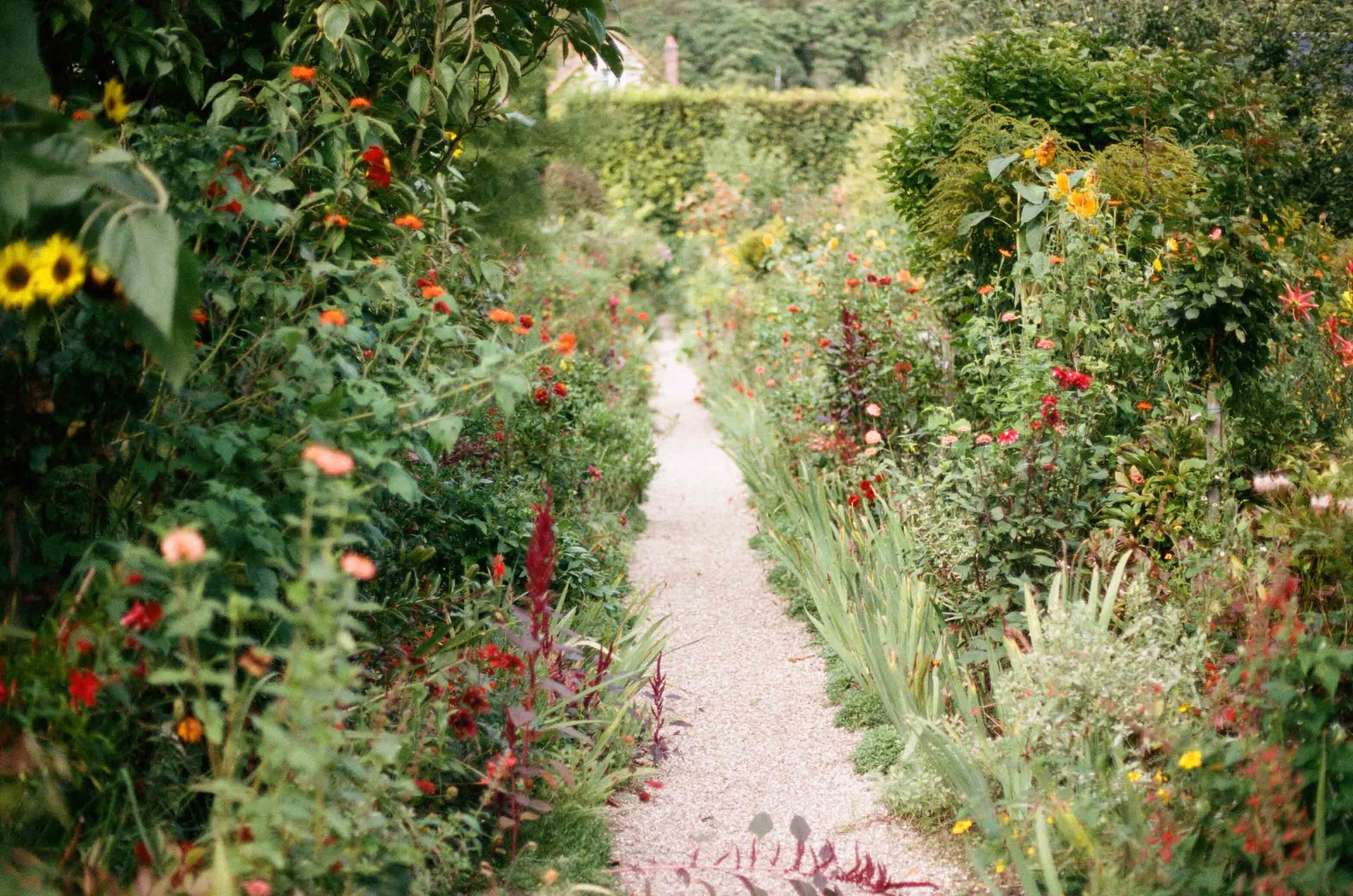 2013 PARISfilm-000048160010.jpg