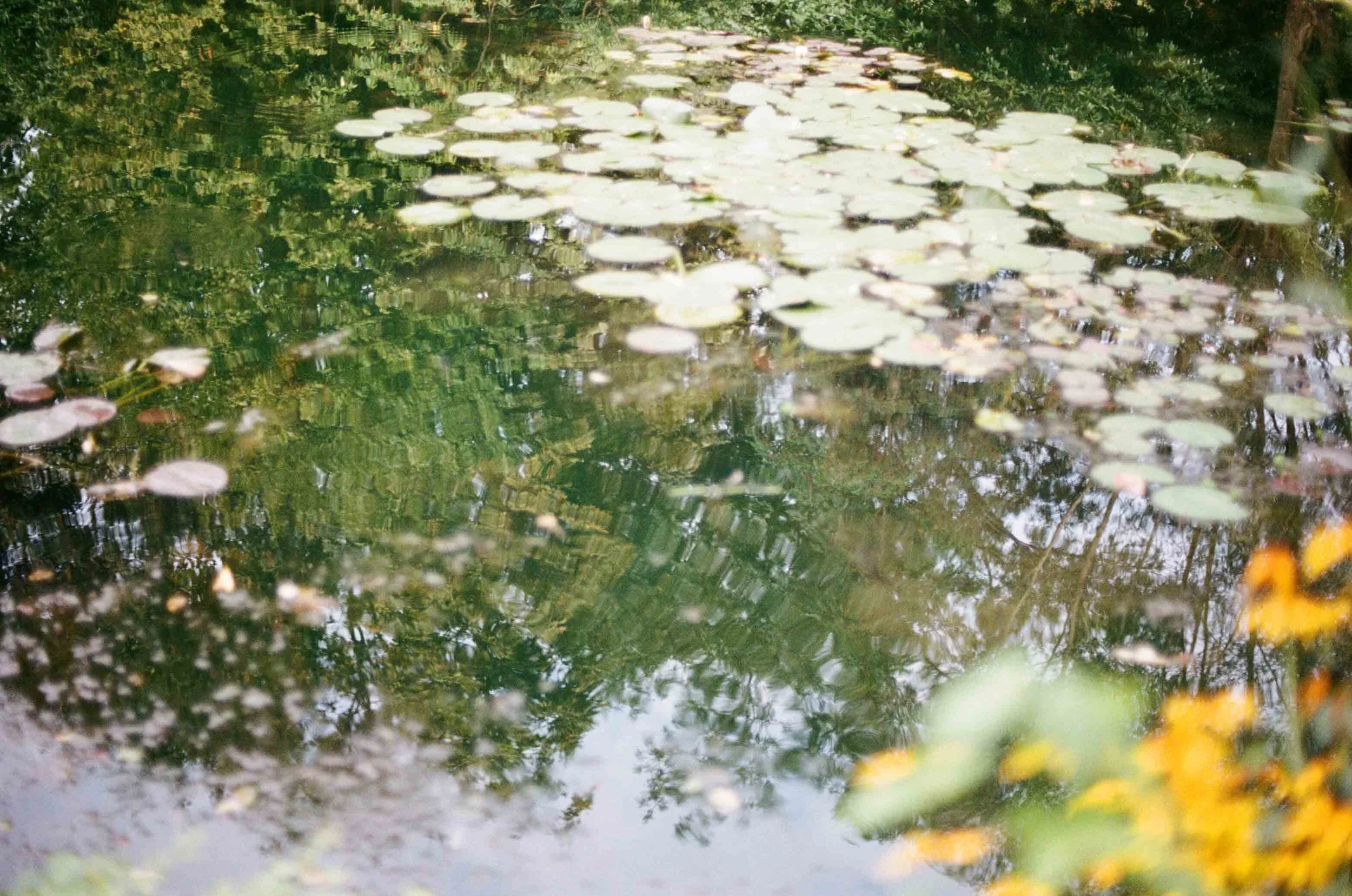 2013 PARISfilm-000048180026.jpg