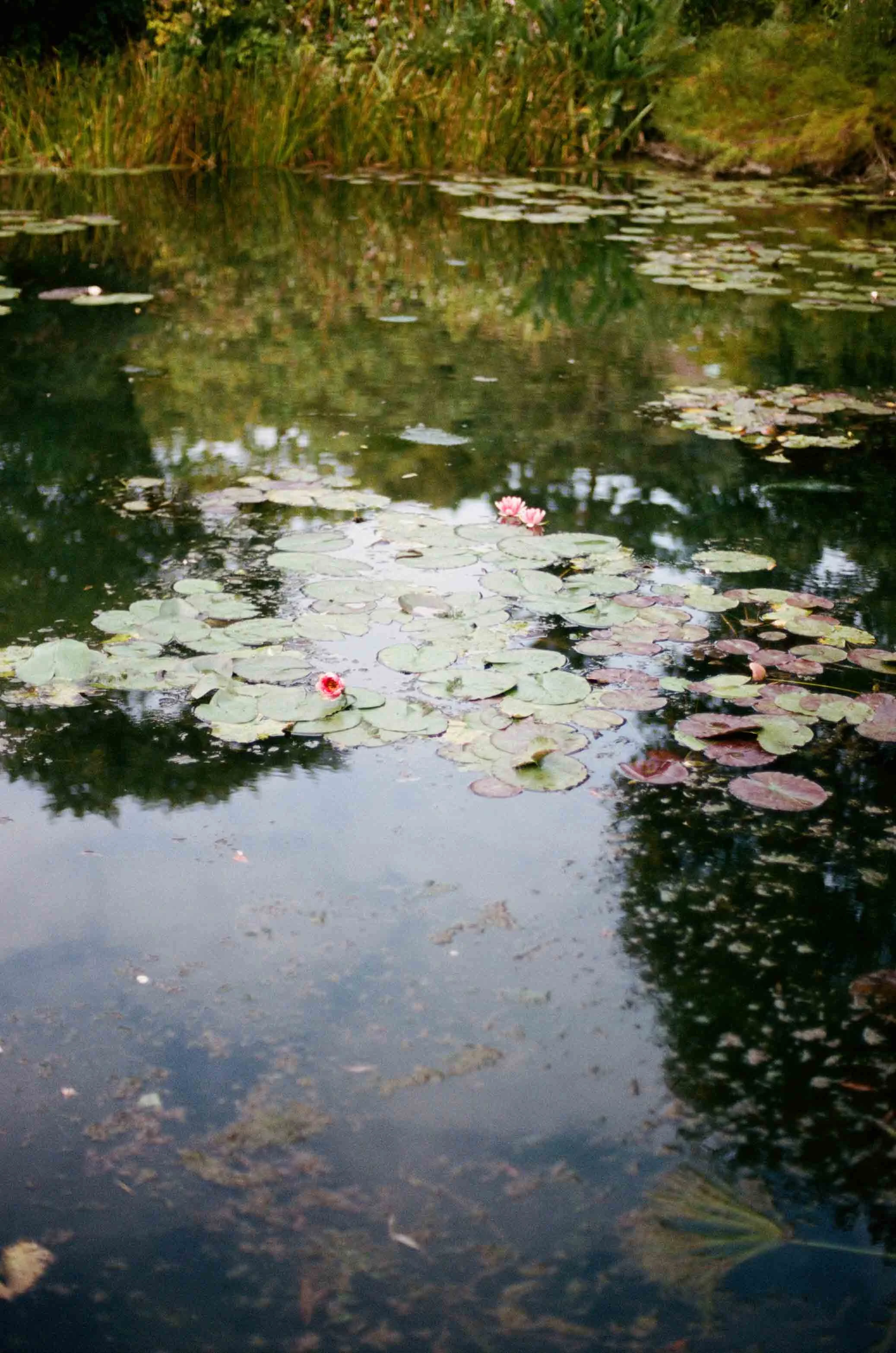 2013 PARISfilm-000048180033.jpg