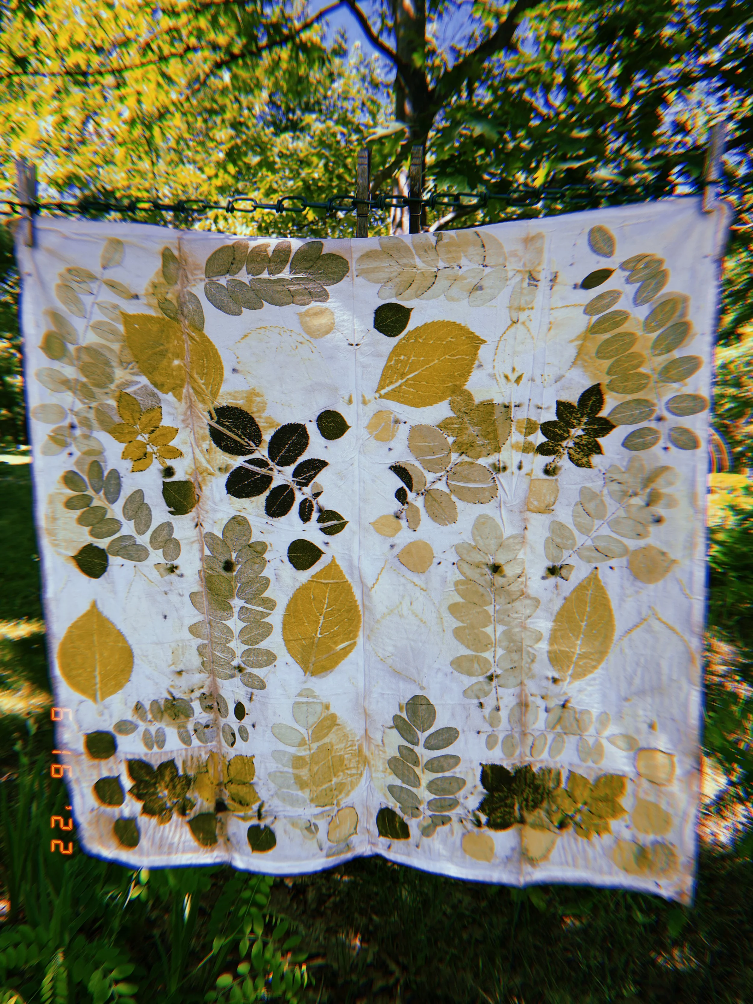 Eco-dye cloth in Black locust and hydrangea 